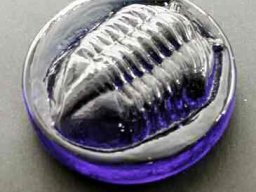 Trilobit 1990
