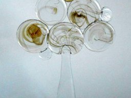 Glastræ 1978